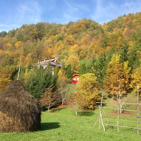 Vila Flora Viseu De Jos Zewnętrze zdjęcie
