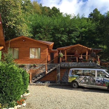 Vila Flora Viseu De Jos Zewnętrze zdjęcie