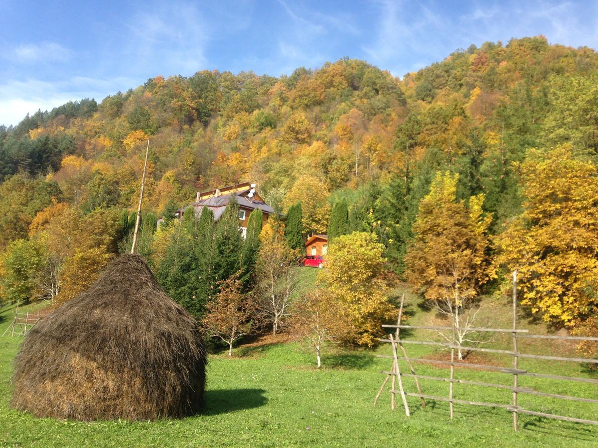 Vila Flora Viseu De Jos Zewnętrze zdjęcie