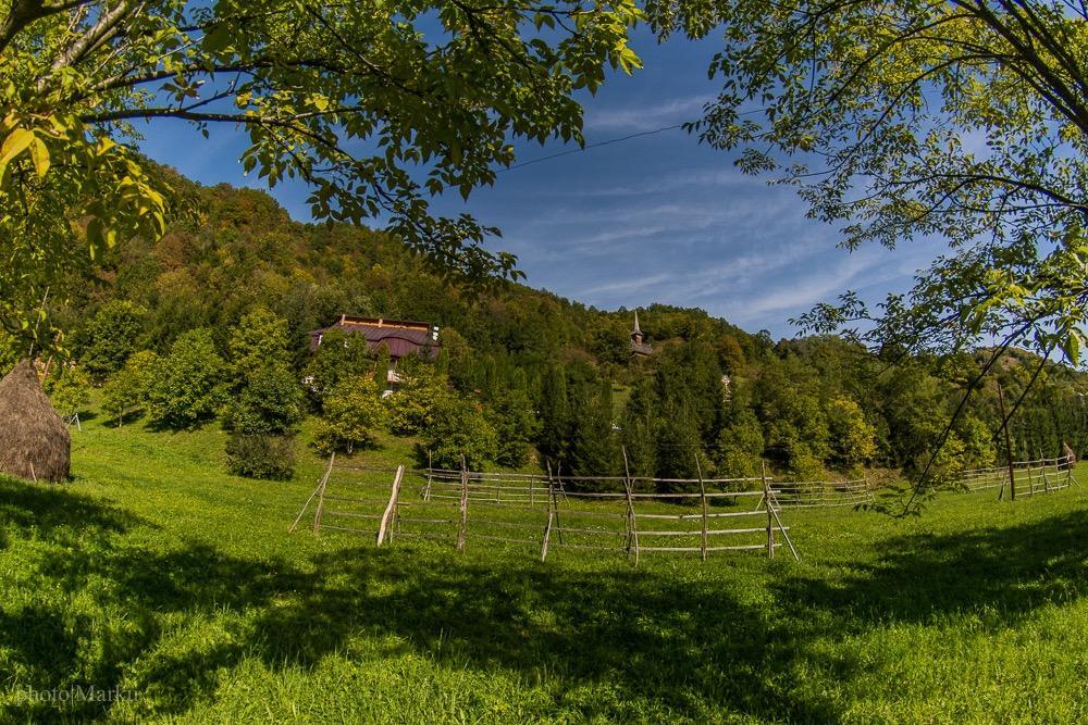 Vila Flora Viseu De Jos Zewnętrze zdjęcie