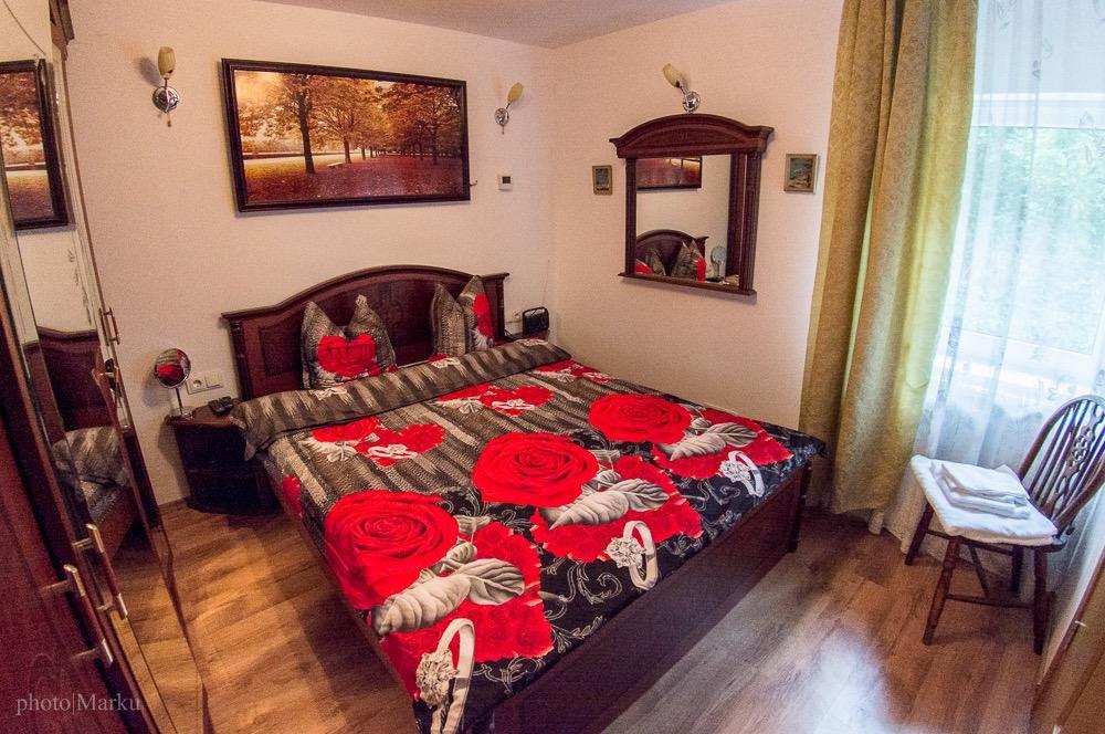 Vila Flora Viseu De Jos Zewnętrze zdjęcie